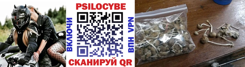 Галлюциногенные грибы мицелий  Котлас 